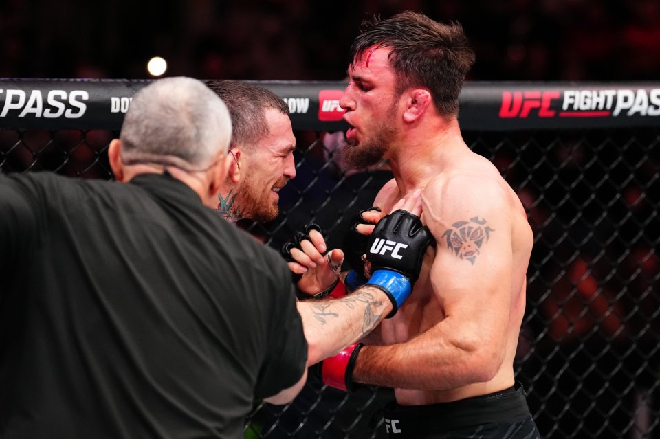 Preview Фанаты считают, что звезду UFC уволят за драку после боя