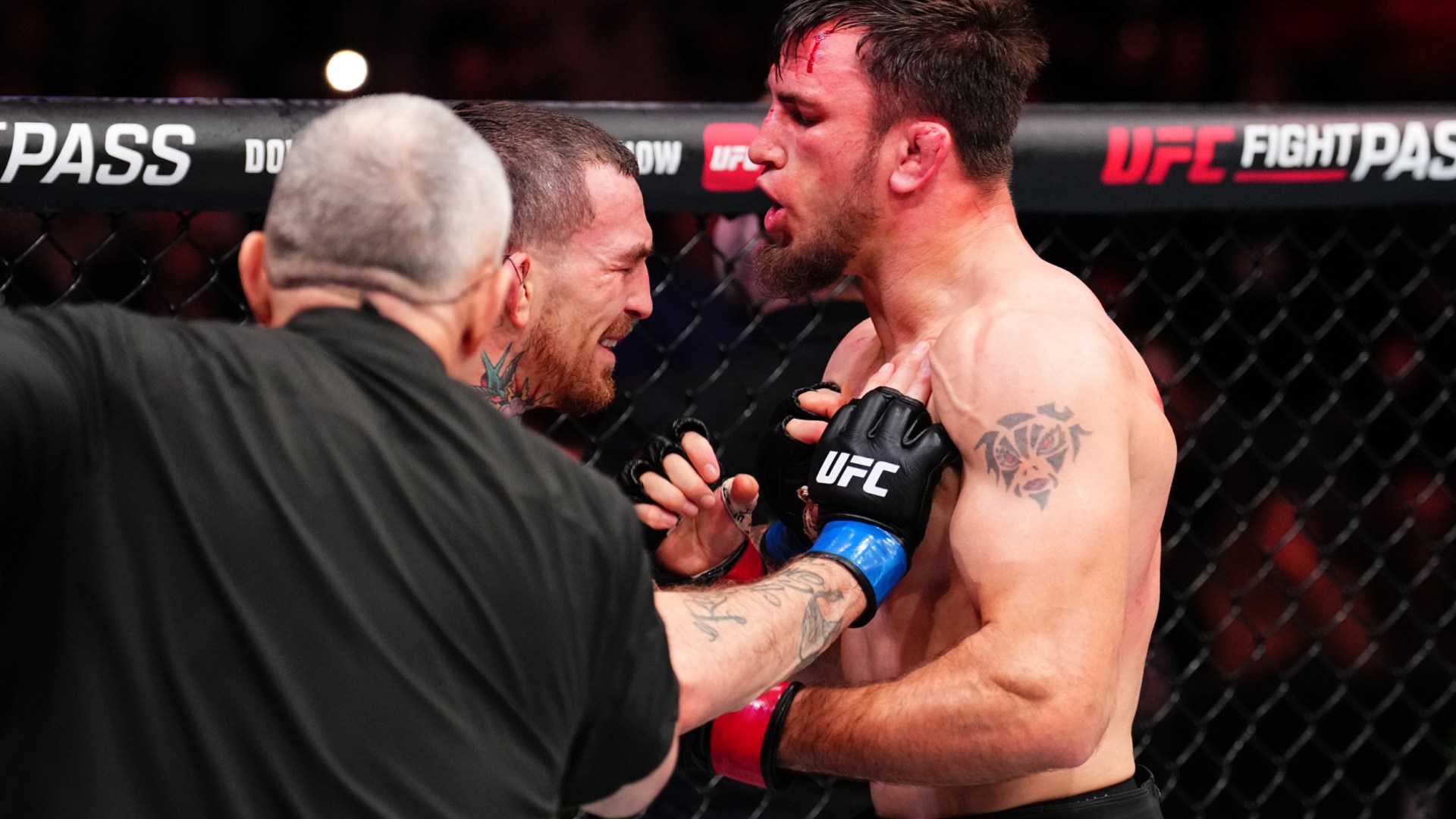 Preview Звезда UFC неподвижно лежит на канвасе после ужасного нокаута