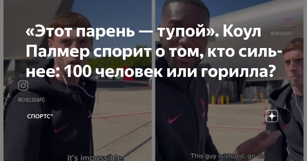 Preview Коул Палмер о битве 100 человек против гориллы: «Слишком смешно»