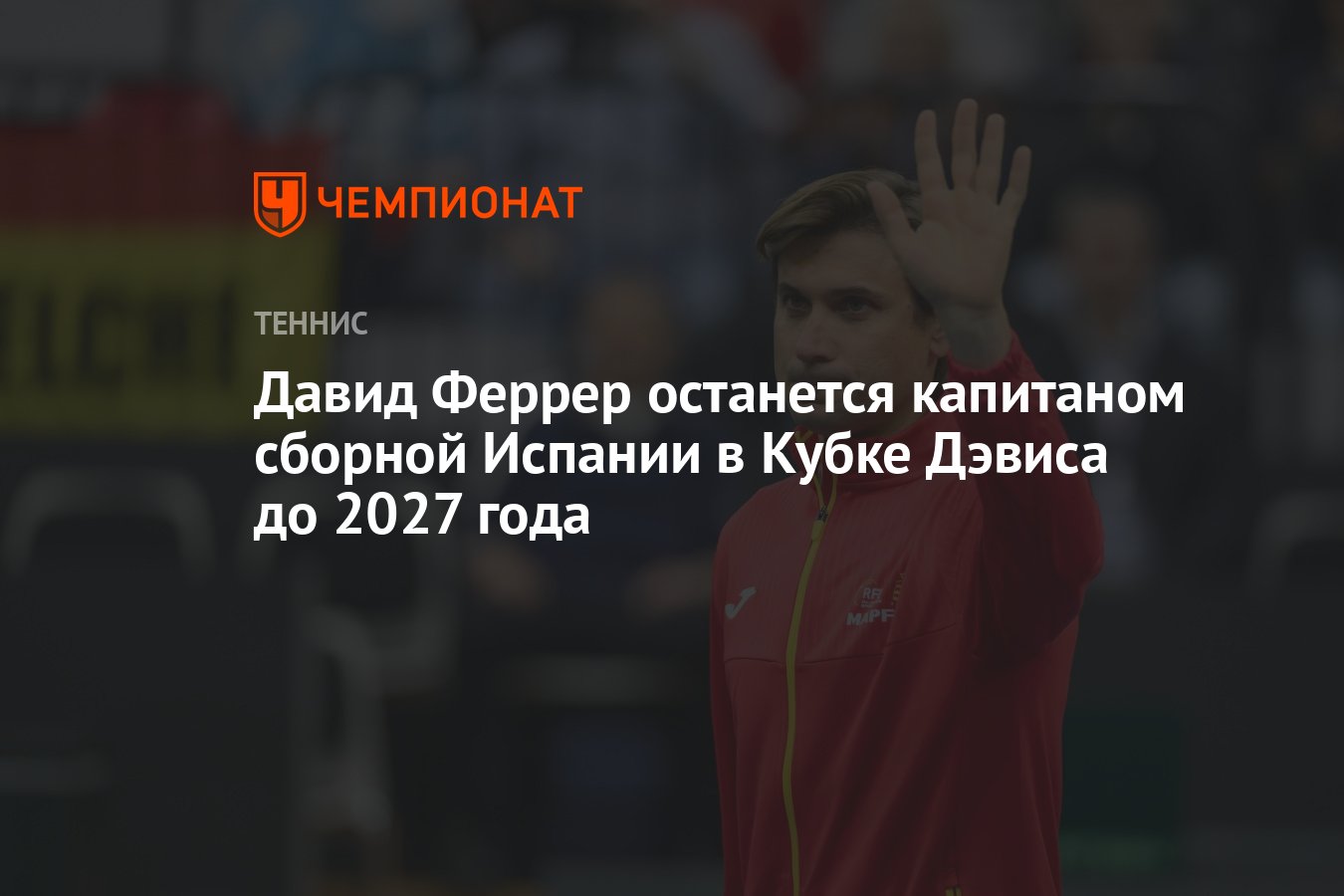 Preview Давид Феррер продлил контракт капитана сборной Испании в Кубке Дэвиса