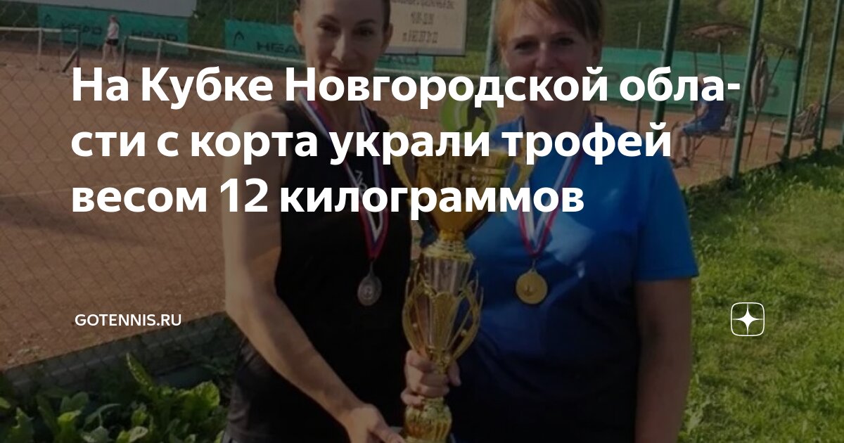 Preview На теннисном Кубке Новгородской области украли трофей весом 12 килограммов