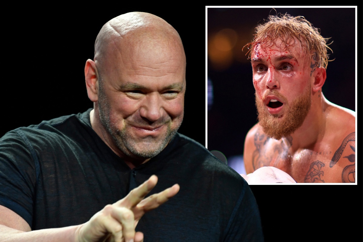 Preview Джейк Пол: ‘UFC умирает’ – Новое обострение войны слов с Даной Уайтом
