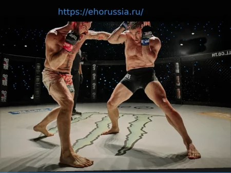 Посмотрите Первые 3 Минуты Нового Фильма Рассела Кроу «Зверь» (ММА)